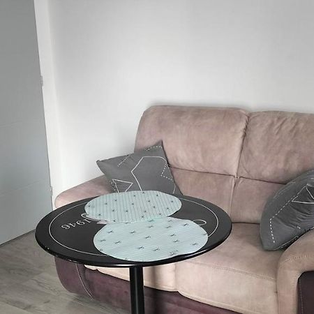 Appartement 2 Pieces Rive-de-Gier Eksteriør bilde