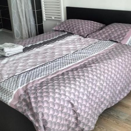 Appartement 2 Pieces Rive-de-Gier Eksteriør bilde