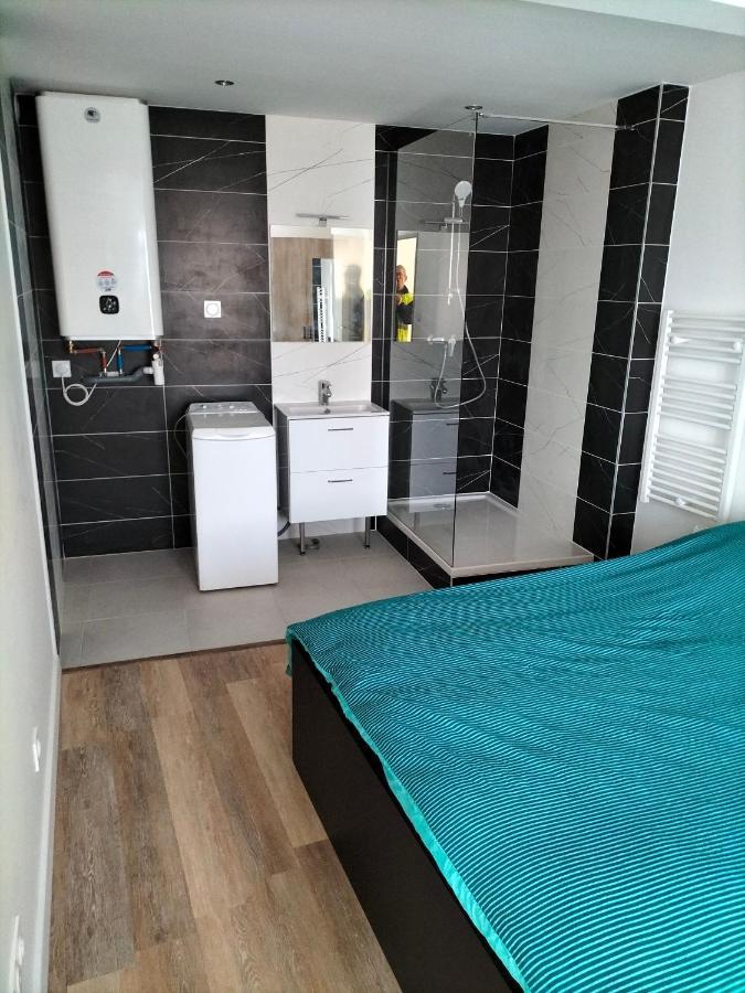 Appartement 2 Pieces Rive-de-Gier Eksteriør bilde