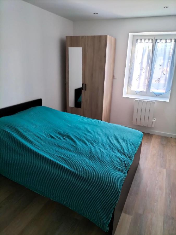 Appartement 2 Pieces Rive-de-Gier Eksteriør bilde